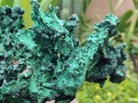 Natural Museum Piece Malachite Stalactite Specimen x 1 From Tenke Fungurume, Congo