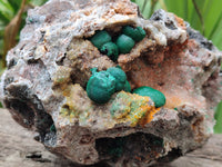 Natural Ball Malachite On Dolomite Matrix Specimens x 2 From Kambove, Congo