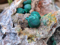 Natural Ball Malachite On Dolomite Matrix Specimens x 2 From Kambove, Congo