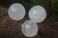 Polished Girasol Pearl Quartz Spheres x 6 From Ambatondrazaka, Madagascar