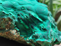 Natural Exquisite Malachite with 10 Stalactites Specimen x 1 from Kolwezi, Congo