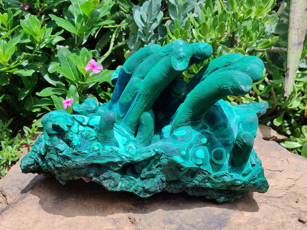 Natural Exquisite Malachite with 10 Stalactites Specimen x 1 from Kolwezi, Congo