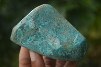 Polished Shattuckite Free Forms x 6 From Congo