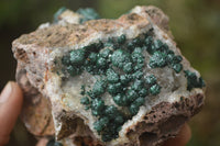 Natural Ball Malachite On Dolomite Matrix Specimens x 2 From Kambove, Congo