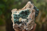 Natural Ball Malachite On Dolomite Matrix Specimens x 2 From Kambove, Congo