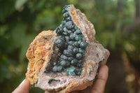 Natural Ball Malachite On Dolomite Matrix Specimens x 2 From Kambove, Congo