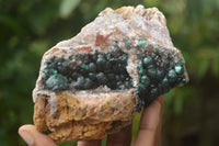 Natural Ball Malachite On Dolomite Matrix Specimens x 2 From Kambove, Congo