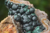 Natural Ball Malachite On Dolomite Matrix Specimens x 2 From Kambove, Congo