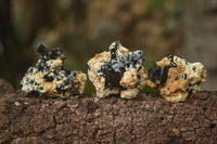 Natural Schorl Black Tourmaline with Opal Hyalite Specimens x 24 From Erongo, Namibia