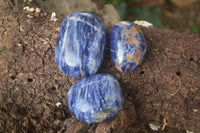 Polished Sodalite Free Forms x 12 From Kunene River, Namibia