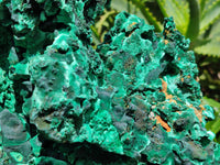 Natural Extra Large Classic Silky Malachite Specimen x 1 From Kasompe, Congo