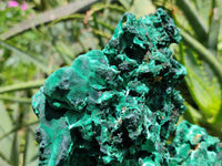 Natural Extra Large Classic Silky Malachite Specimen x 1 From Kasompe, Congo