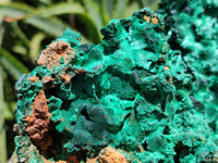 Natural Extra Large Classic Silky Malachite Specimen x 1 From Kasompe, Congo