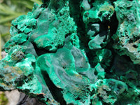 Natural Extra Large Classic Silky Malachite Specimen x 1 From Kasompe, Congo