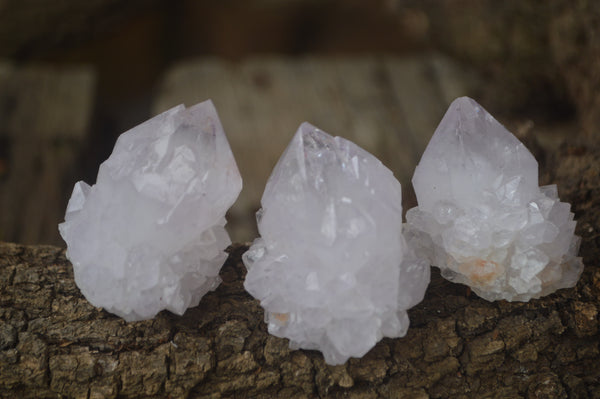 Natural Amethyst Spirit Quartz Clusters x 20 From Boekenhouthoek, South Africa