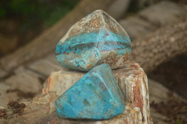 Polished Shattuckite with Azurite and Chrysocolla Free Forms x 6 From Congo