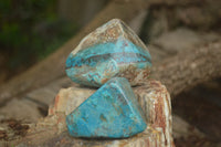 Polished Shattuckite with Azurite and Chrysocolla Free Forms x 6 From Congo