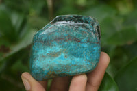 Polished Shattuckite with Azurite and Chrysocolla Free Forms x 6 From Congo