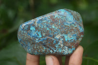 Polished Shattuckite with Azurite and Chrysocolla Free Forms x 6 From Congo