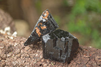 Natural Schorl Black Tourmaline Specimens x 24 From Erongo, Namibia