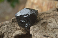 Natural Schorl Black Tourmaline Specimens x 24 From Erongo, Namibia