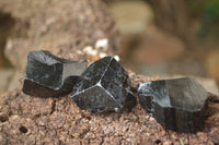 Natural Schorl Black Tourmaline Specimens x 24 From Erongo, Namibia