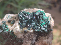 Natural Ball Malachite On Dolomite Matrix Specimens x 2 From Kambove, Congo