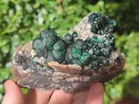 Natural Ball Malachite On Dolomite Matrix Specimens x 2 From Kambove, Congo