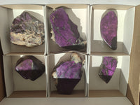 Polished On One Side Metallic Purpurite Specimens x 6 From Namibia