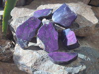 Polished On One Side Metallic Purpurite Specimens x 6 From Namibia