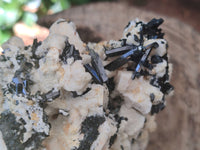 Natural Schorl Black Tourmaline Specimens x 2 From Erongo, Namibia