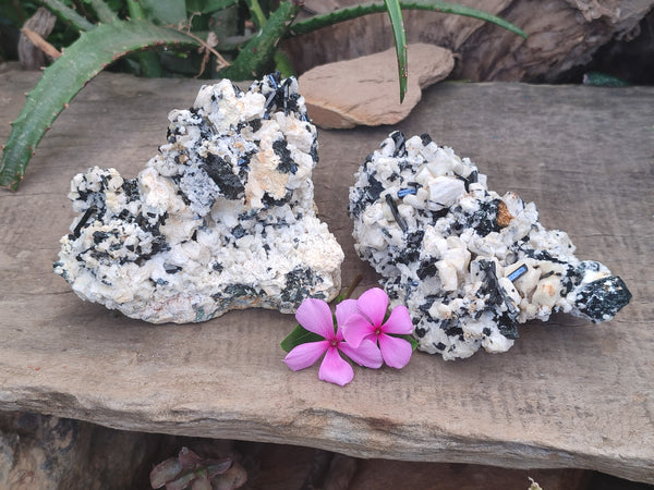 Natural Schorl Black Tourmaline Specimens x 2 From Erongo, Namibia