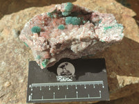 Natural Drusy Coated Ball Malacolla On Dolomite Specimens x 6 From Likasi, Congo