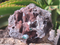 Natural Drusy Coated Ball Malacolla On Dolomite Specimens x 6 From Likasi, Congo