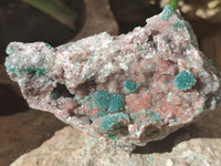 Natural Drusy Coated Ball Malacolla On Dolomite Specimens x 6 From Likasi, Congo