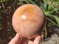 Polished Runestone Feldspar Spheres x 3 From Zimbabwe