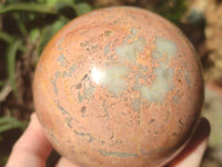 Polished Runestone Feldspar Spheres x 3 From Zimbabwe