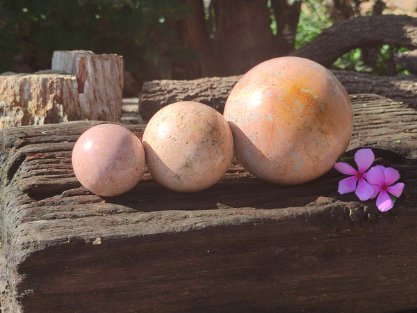 Polished Runestone Feldspar Spheres x 3 From Zimbabwe