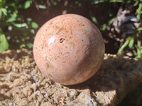 Polished Runestone Feldspar Spheres x 3 From Zimbabwe