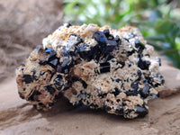 Natural Schorl Black Tourmaline Specimens x 12 From Erongo, Namibia