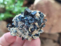 Natural Schorl Black Tourmaline Specimens x 12 From Erongo, Namibia