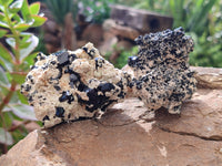 Natural Schorl Black Tourmaline Specimens x 12 From Erongo, Namibia