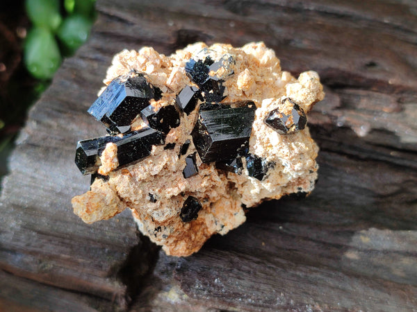 Natural Schorl Black Tourmaline Specimens x 12 From Erongo, Namibia