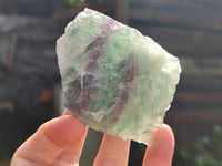 Natural Watermelon Fluorite Cobbed Specimens x 12 From Uis, Namibia