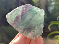 Natural Watermelon Fluorite Cobbed Specimens x 12 From Uis, Namibia