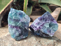 Natural Watermelon Fluorite Cobbed Specimens x 12 From Uis, Namibia