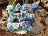 Natural Watermelon Fluorite Cobbed Specimens x 12 From Uis, Namibia