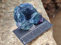 Natural Watermelon Fluorite Cobbed Specimens x 12 From Uis, Namibia