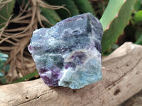 Natural Watermelon Fluorite Cobbed Specimens x 12 From Uis, Namibia