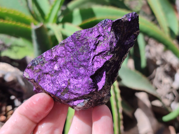 Natural Metallic Purpurite Cobbed Specimens x 6 From Erongo, Namibia